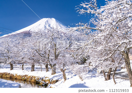 [山梨縣] 冬天的富士山、忍野村新那莊川的雪景 112315933