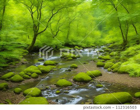 river in the forest 112316503