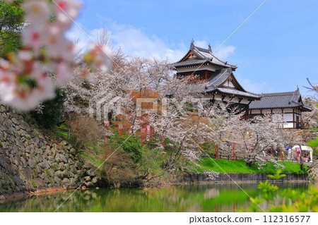 [奈良縣]晴朗的郡山城和盛開的櫻花（大手櫓） 112316577