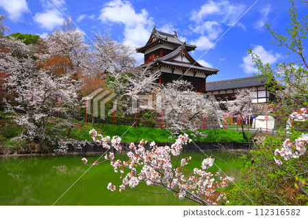 [奈良縣]晴朗的郡山城和盛開的櫻花（大手櫓） 112316582