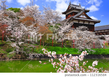 [奈良縣]晴朗的郡山城和盛開的櫻花（大手櫓） 112316584