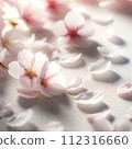 櫻桃花瓣 112316660