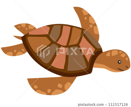 sea turtle turtle sea 112317126