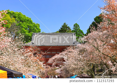 [京都府]櫻花盛開的岱吾寺（仁王門） 112317293