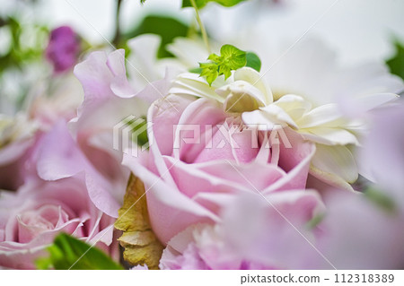 Flowers in a vase Flowers in a vase 112318389