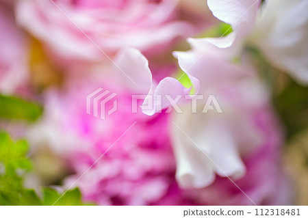 Flowers in a vase Flowers in a vase 112318481
