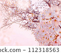 Pale pink cherry blossom background 112318563