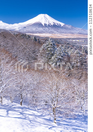 《山梨縣》冬天的富士山，20首降雪歌曲 112318634