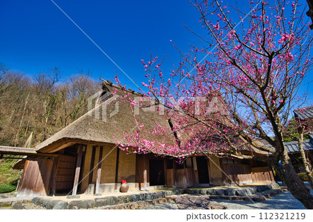 梅花盛開的大越民花園 112321219