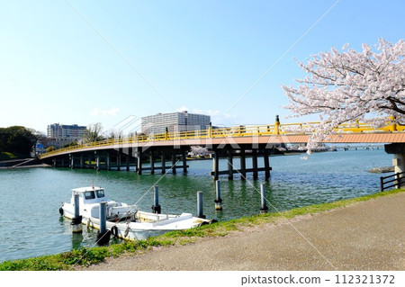滋賀縣大津市的瀨田唐橋橋和春天的櫻花,瀨田唐橋橋和櫻花,春天的瀨田唐橋橋 滋賀縣大津市的瀨田唐橋橋和春天的櫻花,瀨田唐橋橋和櫻花,春天的瀨田唐橋橋 112321372