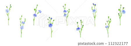 Blooming Flax Flower Plant with Green Stem Vector Set 112322177