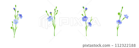 Blooming Flax Flower Plant with Green Stem Vector Set Blooming Flax Flower Plant with Green Stem Vector Set 112322188