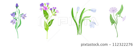 Purple Flower on Green Stem with Leaf as Meadow or Field Plant Vector Set Purple Flower on Green Stem with Leaf as Meadow or Field Plant Vector Set 112322276