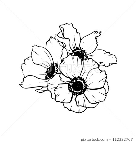 Anemones poppy flowers bouquet black and white vector illustration for greeting cards, logos, spring wedding invitations, mothers day designs Anemones poppy flowers bouquet black and white vector illustration for greeting cards, logos, spring wedding invitations, mothers day designs 112322767
