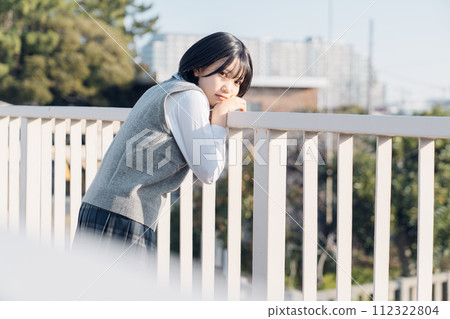 School girl high school student School girl high school student 112322804