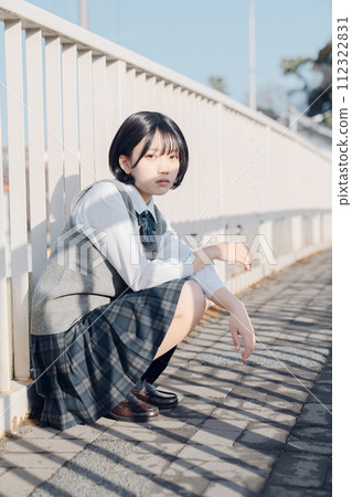 School girl high school student School girl high school student 112322831
