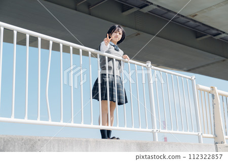 School girl high school student 112322857