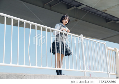 School girl high school student School girl high school student 112322860