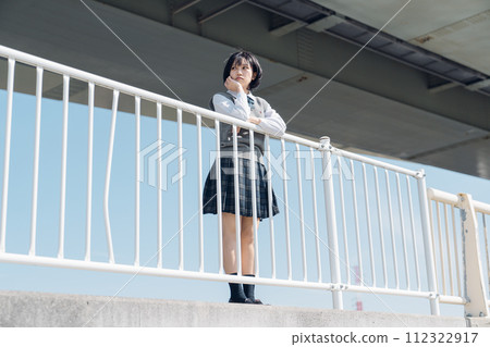 School girl high school student School girl high school student 112322917