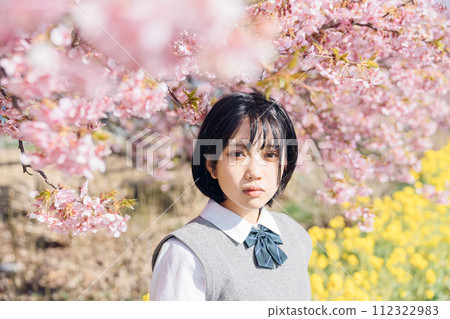 櫻花和學校的女孩 櫻花和學校的女孩 112322983