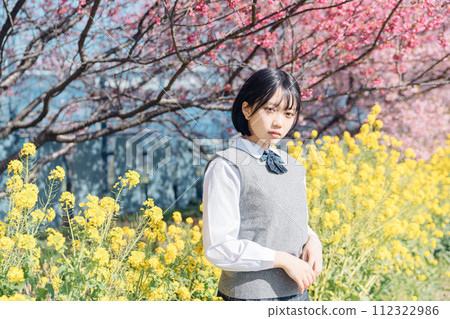 Sakura and school girls 112322986