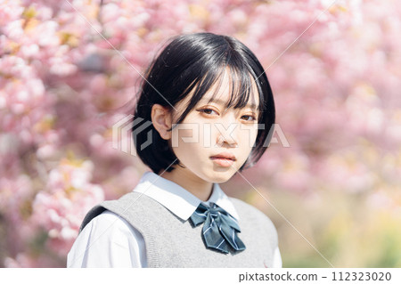 Sakura and school girls 112323020