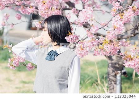 Sakura and school girls 112323044