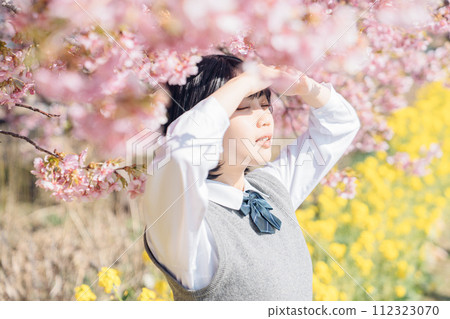 Sakura and school girls Sakura and school girls 112323070