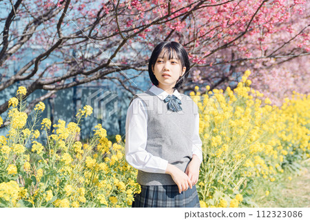 Sakura and school girls 112323086
