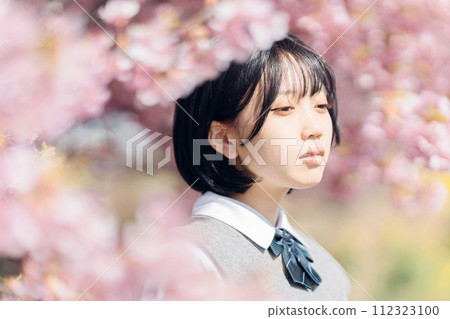 Sakura and school girls Sakura and school girls 112323100