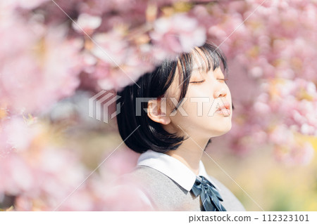 Sakura and school girls 112323101