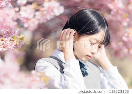 Sakura and school girls Sakura and school girls 112323103