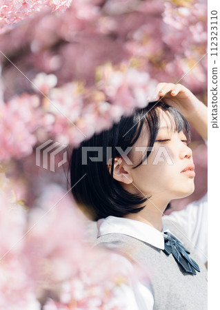 Sakura and school girls 112323110