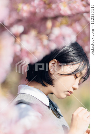 櫻花和學校的女孩 櫻花和學校的女孩 112323113