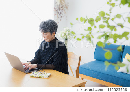 Senior woman using a computer at home 112323738