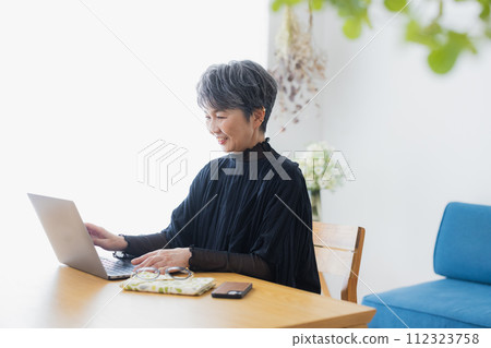 Senior woman using a computer at home Senior woman using a computer at home 112323758