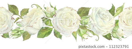 White Rose seamless Border. Watercolor illustration of wedding spring Flower. Hand drawn on isolated background. Drawing of vintage floral pattern. Painting of template frame for card and ribbons 112323791