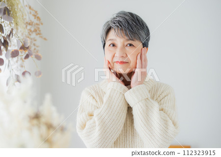 冬季美容高級女性 冬季美容高級女性 112323915