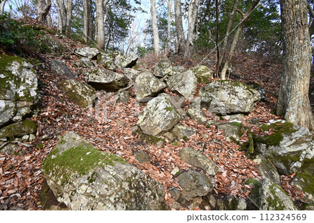 Odari Castle Ruins of Sanno Maru Ishigaki 112324569