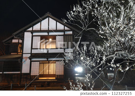 府中鄉土博物館梅花點燈 112327255