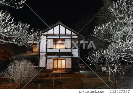 府中鄉土博物館梅花點燈 府中鄉土博物館梅花點燈 112327257