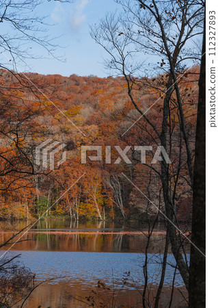 Autumn leaves reflected in the water mirror of Tsutanuma in the early morning at Okuse Tsutanoyu, Towada City, Aomori Prefecture, Japan Autumn leaves reflected in the water mirror of Tsutanuma in the early morning at Okuse Tsutanoyu, Towada City, Aomori Prefecture, Japan 112327893