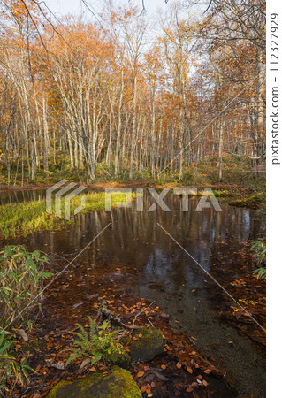 Japan: Kagaminuma and autumn leaves in Tsuta Nananuma, Konuma District, Okuse Tsutanoyu, Towada City, Aomori Prefecture 112327929