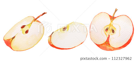 水彩畫蘋果的橫切面圖 水彩畫蘋果的橫切面圖 112327962