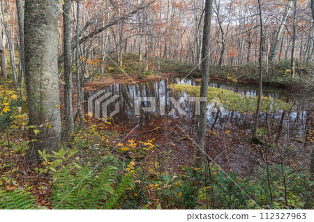 Japan: Kagaminuma and autumn leaves in Tsuta Nananuma, Konuma District, Okuse Tsutanoyu, Towada City, Aomori Prefecture 112327963