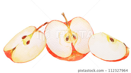 Cross section illustration of an apple drawn in watercolor 112327964