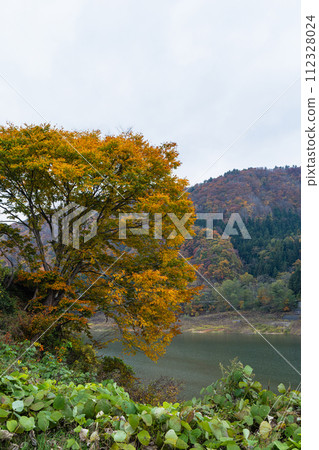 Rainbow lake and autumn leaves in Kuroishi City, Aomori Prefecture, Japan 112328024