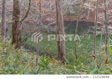 Japan: Naganuma in Tsuta Nananuma, Konuma District, Okuse Tsutanoyu, Towada City, Aomori Prefecture Japan: Naganuma in Tsuta Nananuma, Konuma District, Okuse Tsutanoyu, Towada City, Aomori Prefecture 112328040