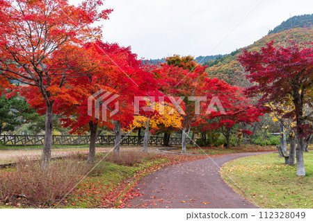 日本青森郡黑石市彩虹湖的秋葉 112328049