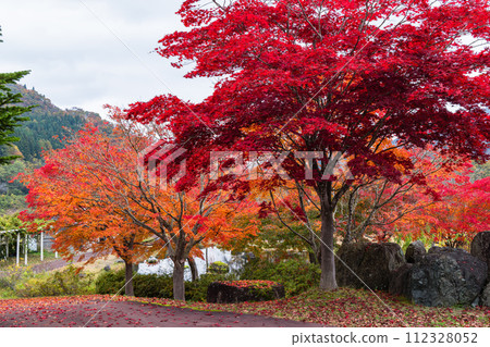 Autumn leaves at Rainbow Lake in Kuroishi City, Aomori Prefecture, Japan 112328052